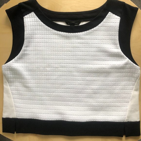 BANANA REPUBLIC PETITE CROP TOP (Large) - Picture 4 of 4